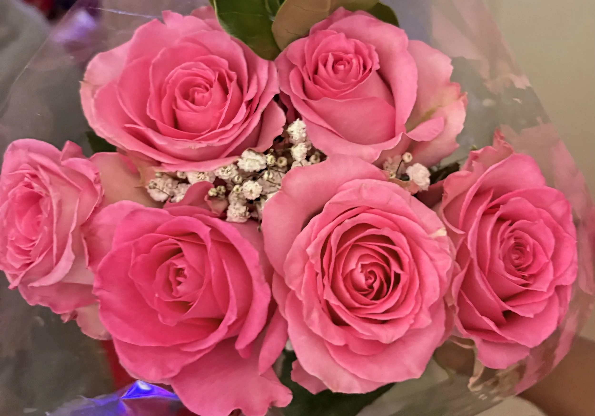 A New Season for Bedside to Beyond 🌿🌹