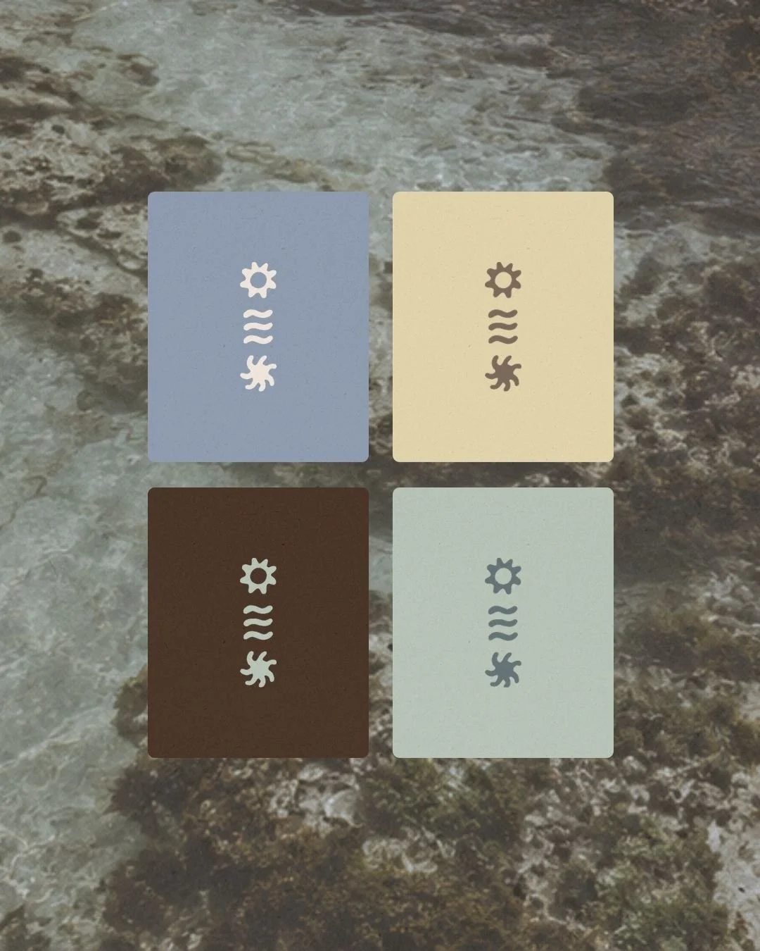 Brand Design for surfwear brand coral theory. Four color swatches with icons of a sun, waves, and a spark, arranged in a grid over a textured background.