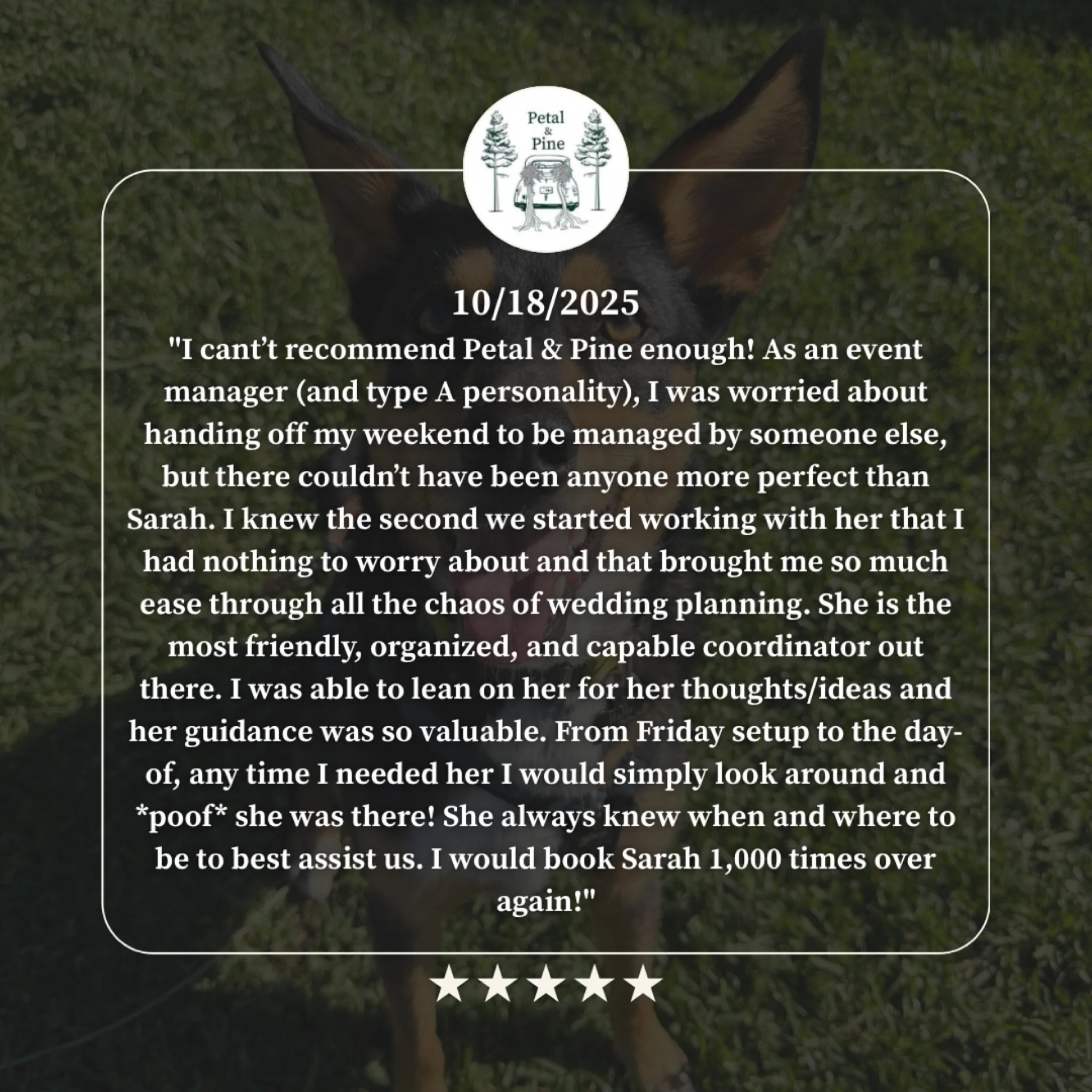 Don&rsquo;t just take my word for it, take it from a pro!

Here for whatever, whenever. 
(And allllways here to pet your dog)

Current 2026 availability is in our story highlights.
Link in bio for inquiries.❤️&zwj;🔥

#maineweddingplanner #portlandma