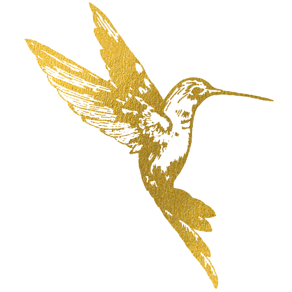 Minimalist bird illustration in soft, artistic style.