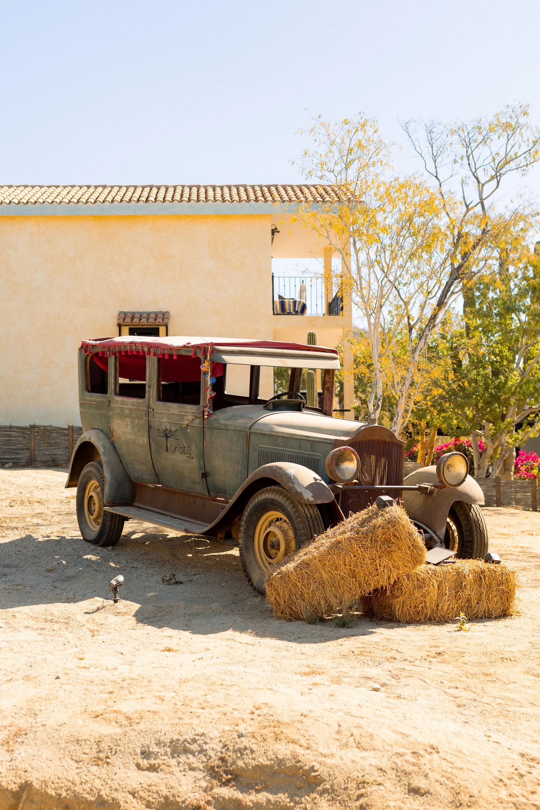 02-02-25 Torote Restaurant RS-7.jpg