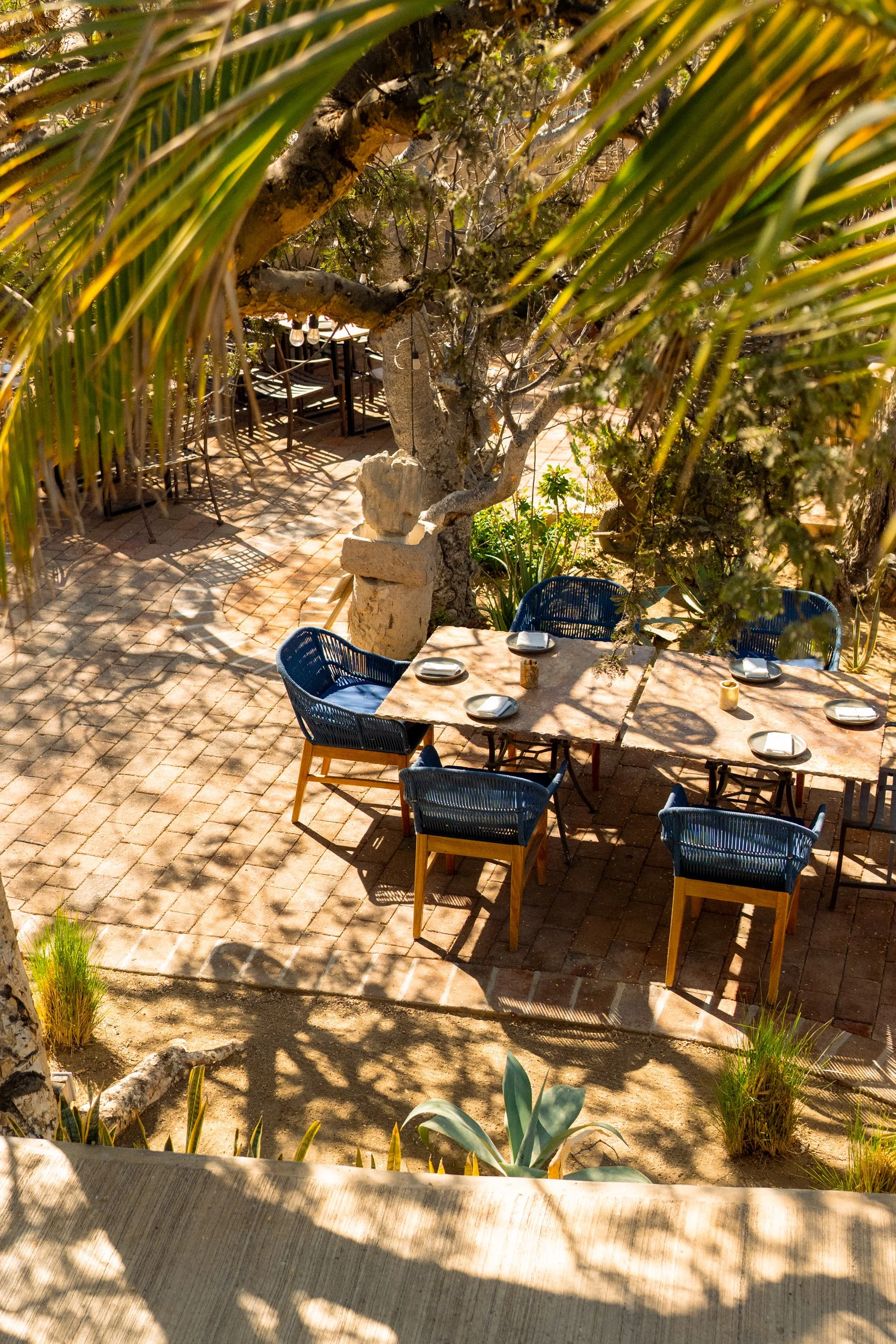 02-02-25 Torote Restaurant RS-53.jpg