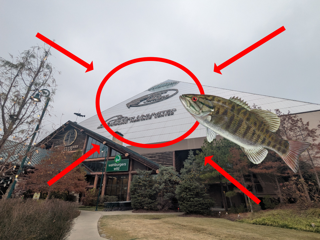 This is a placeholder!