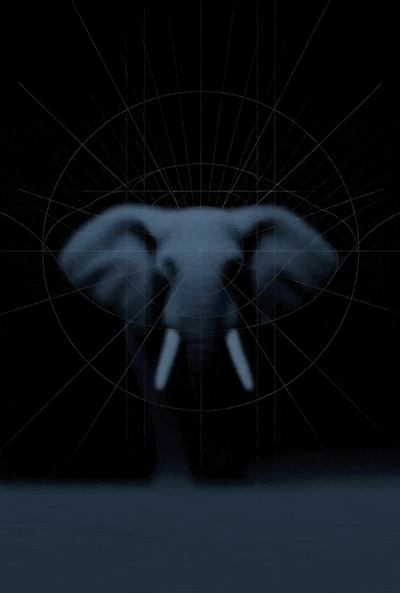 Animated label of Blue Giant Coffee Variety