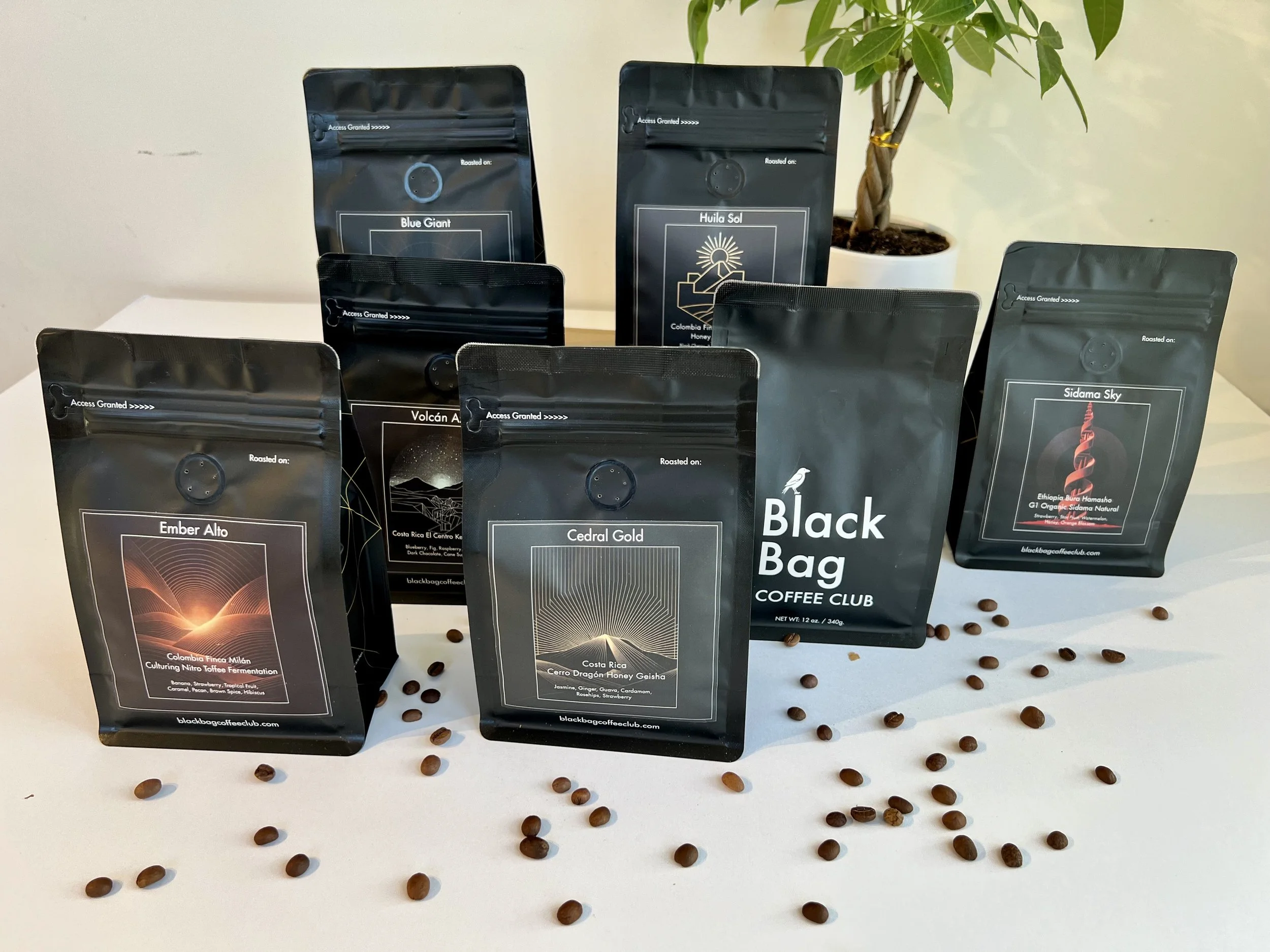 Several bags of coffee beans from Black Bag Coffee Club arranged on a white surface with scattered coffee beans in front, and a potted plant in the background.