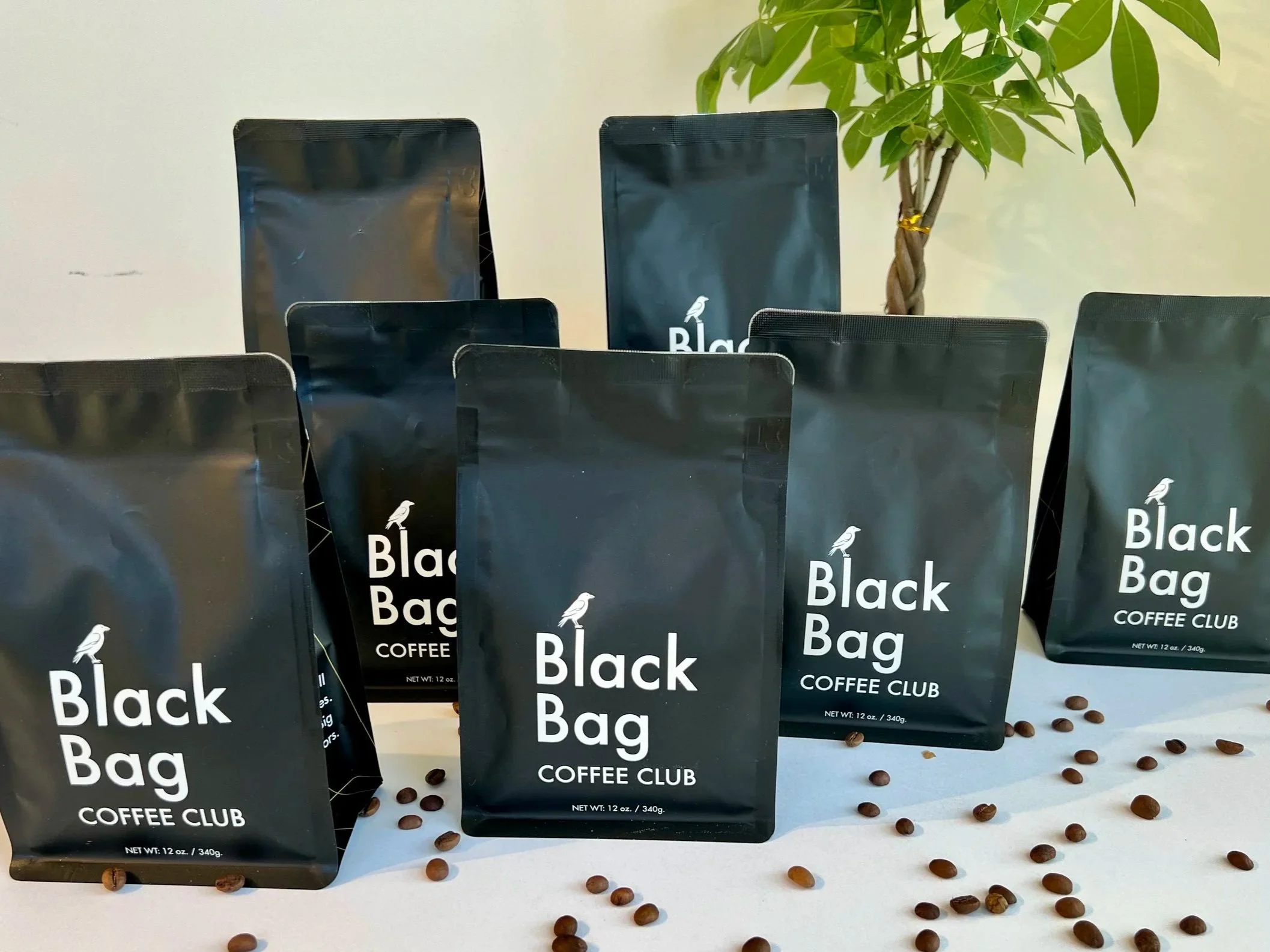 Several black coffee bags labeled 'Black Bag Coffee Club' are arranged on a table with scattered coffee beans, with a potted plant in the background.