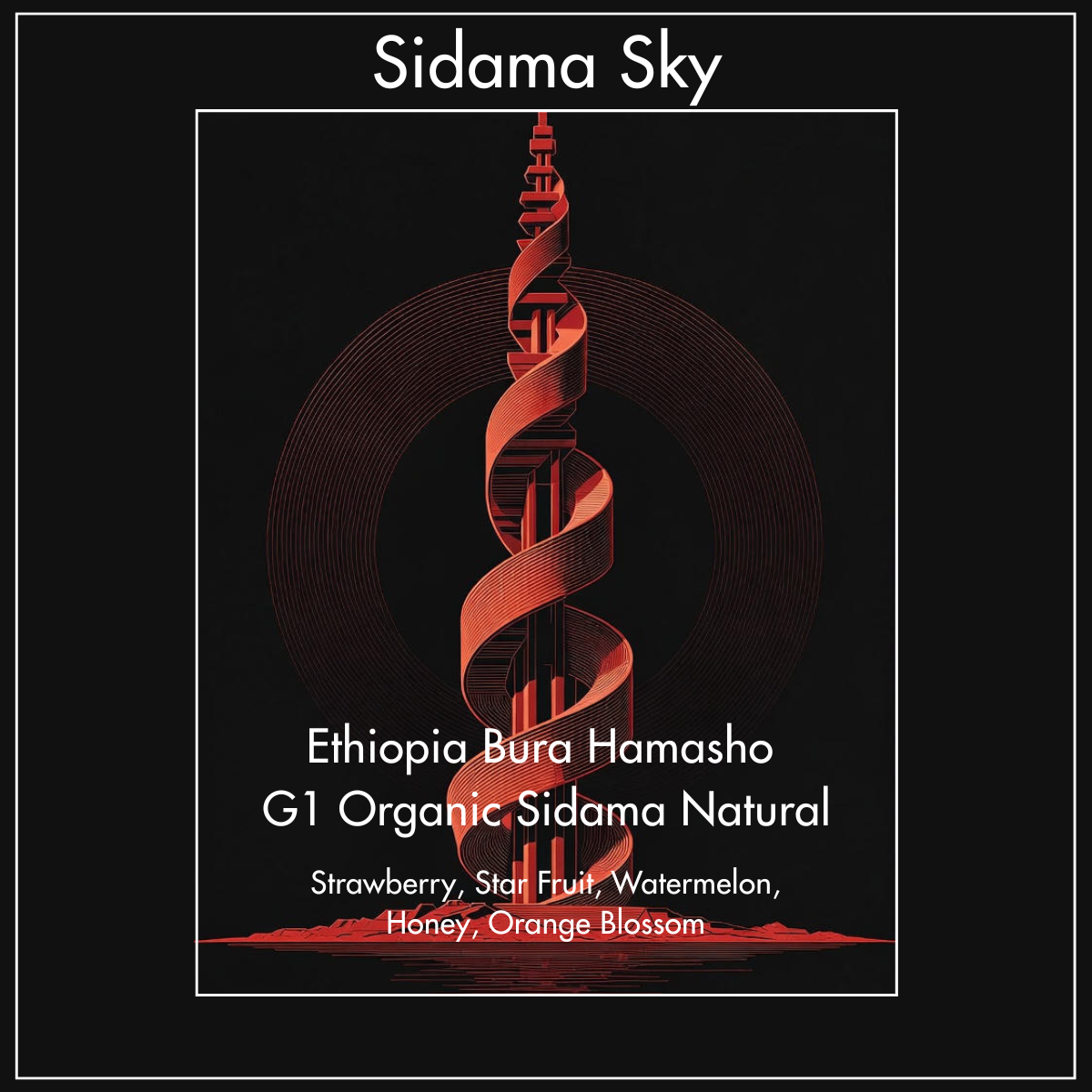 Sidama Sky Ethiopia Organic Sidama Bura Hamasho G1 Natural Label Art