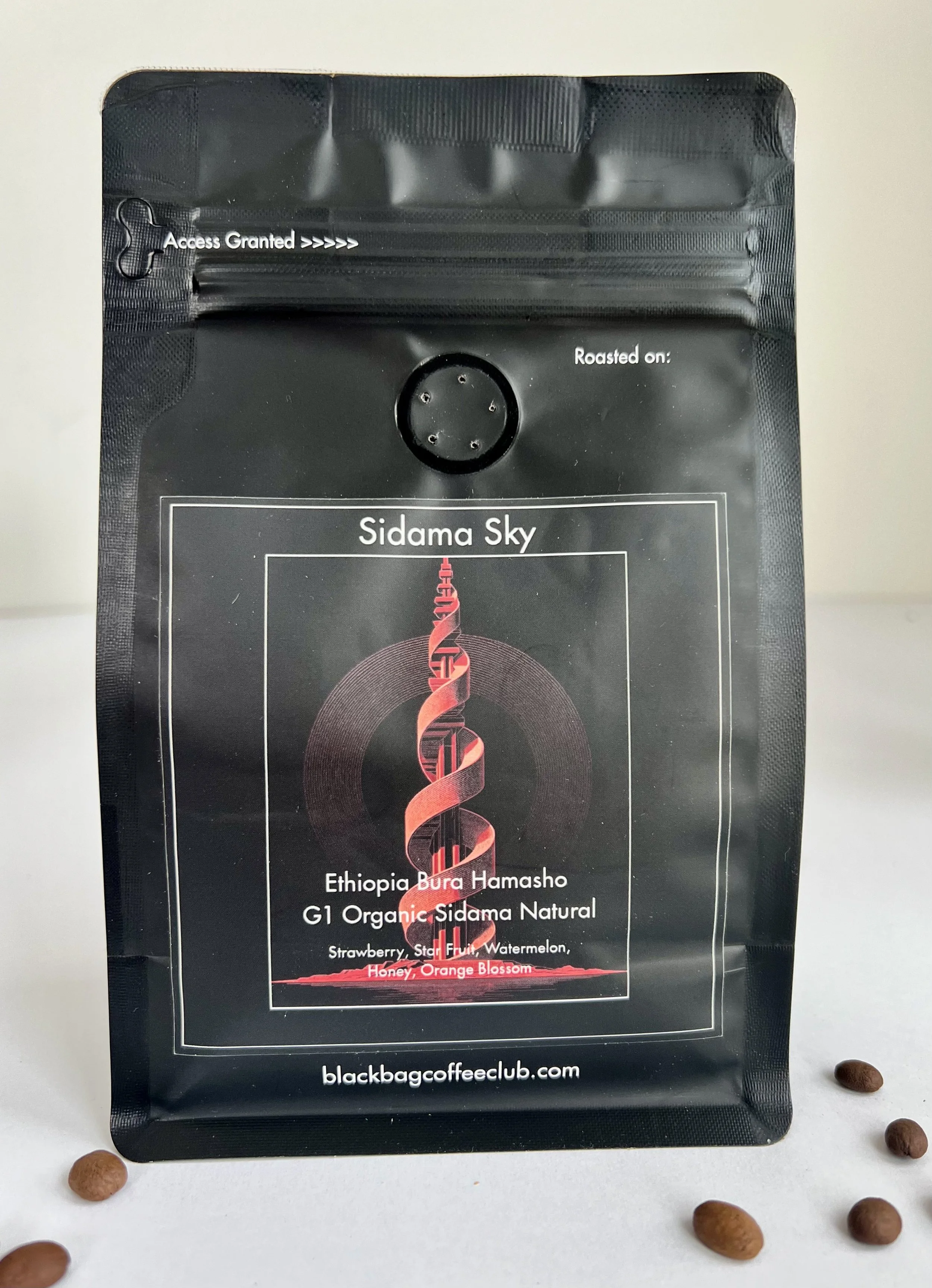 Sidama Sky Ethiopia Organic Sidama Bura Hamasho G1 Natural Physical Bag Art