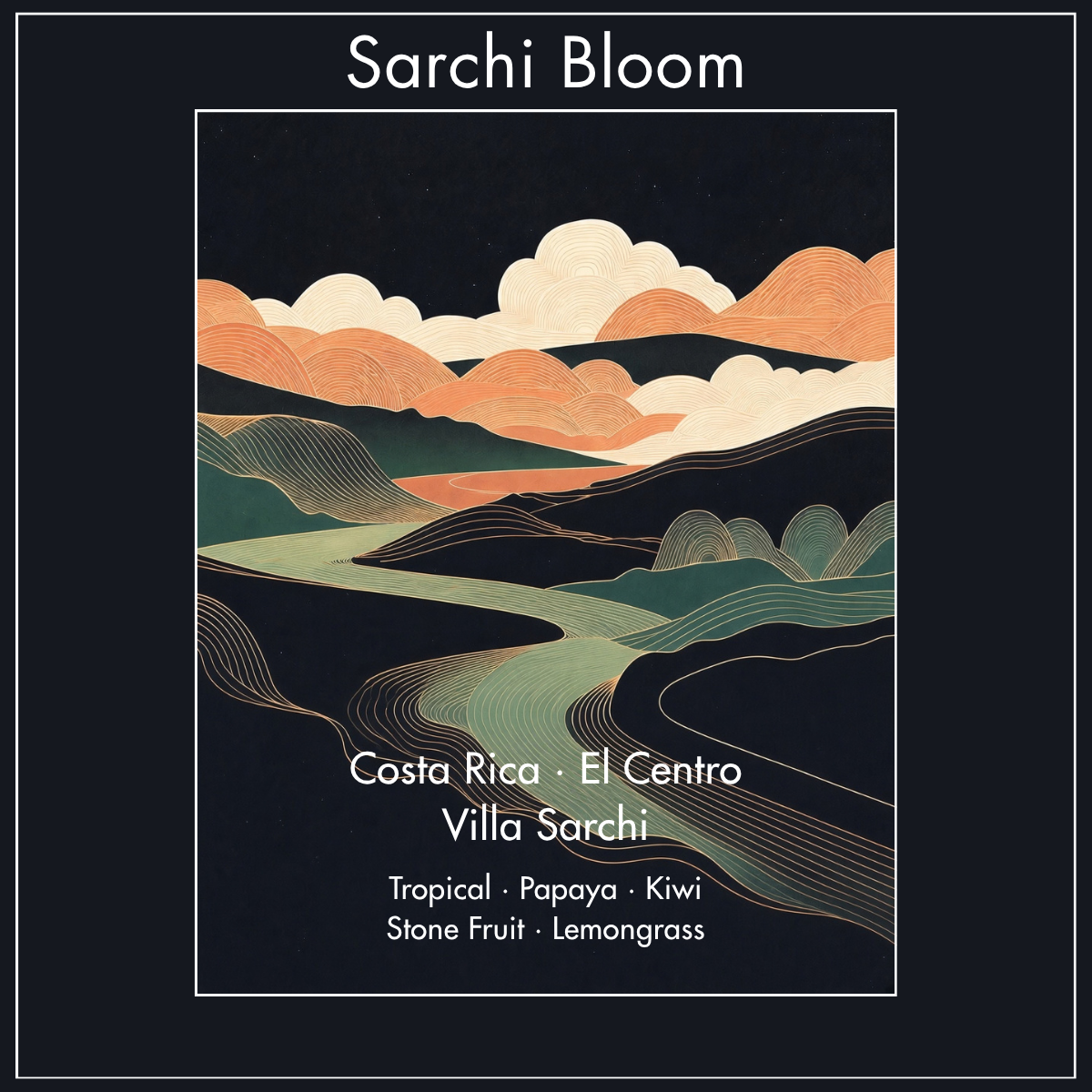 Sarchi Bloom