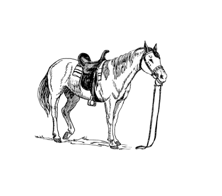 Screen Shot 2025-11-21 at 1.54.21 PM.png