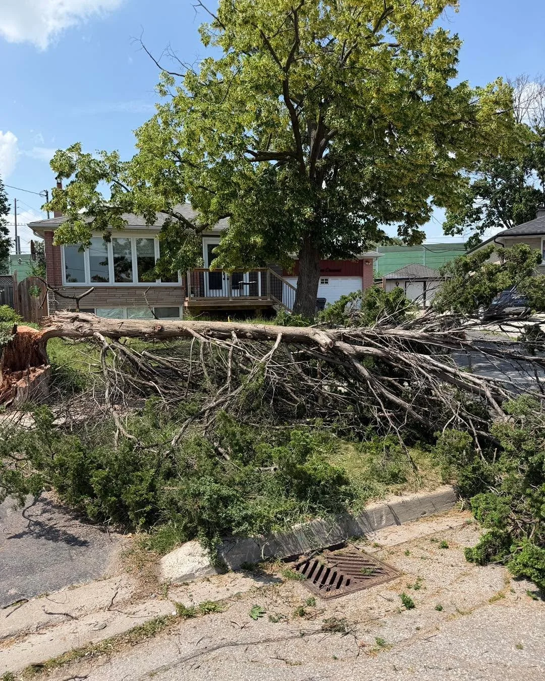A quick before and after from a recent storm cleanup.

This project involved removing a storm-damaged tree, taking down a smaller tree, and cleaning up all debris, leaving the property safe and tidy again.

Thanks to precision_needs to calling us out