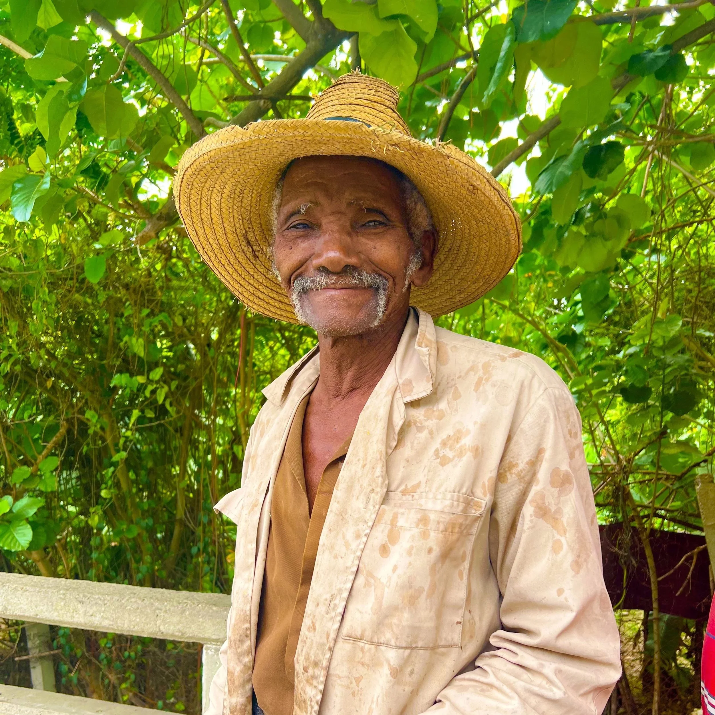 A smiling elderly man with a mustache and gray beard, wearing a wide-brimmed straw hat and a beige, stained shirt, standing outdoors in front of green leafy trees.