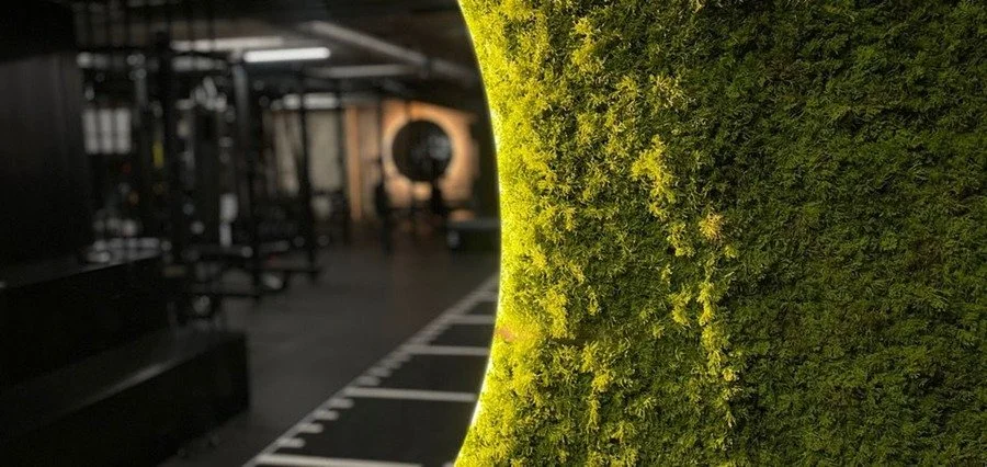 Xnv6MGZw (1) (1).jpeg