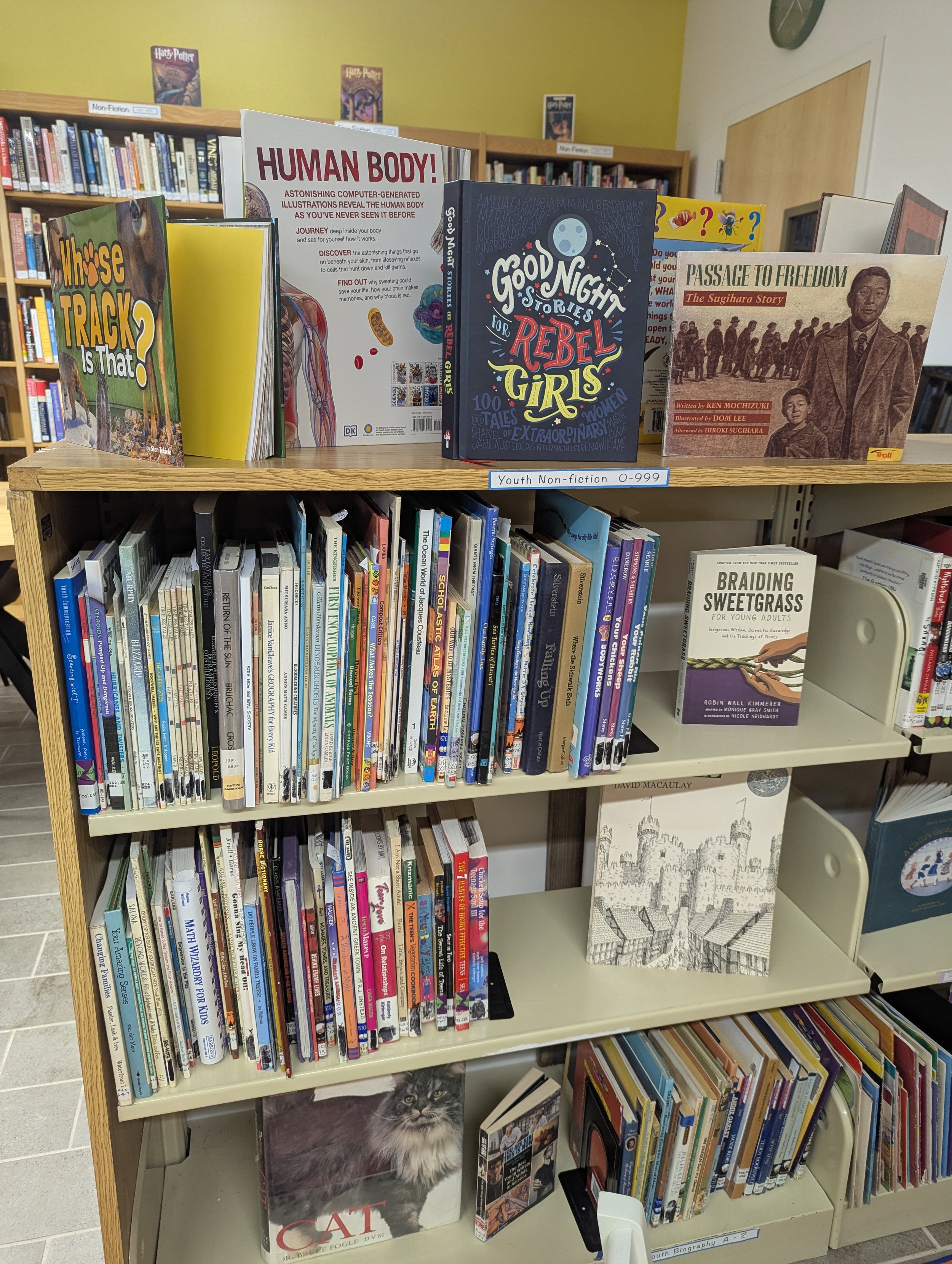 Book display of children's books at La Cienega Valley Library
