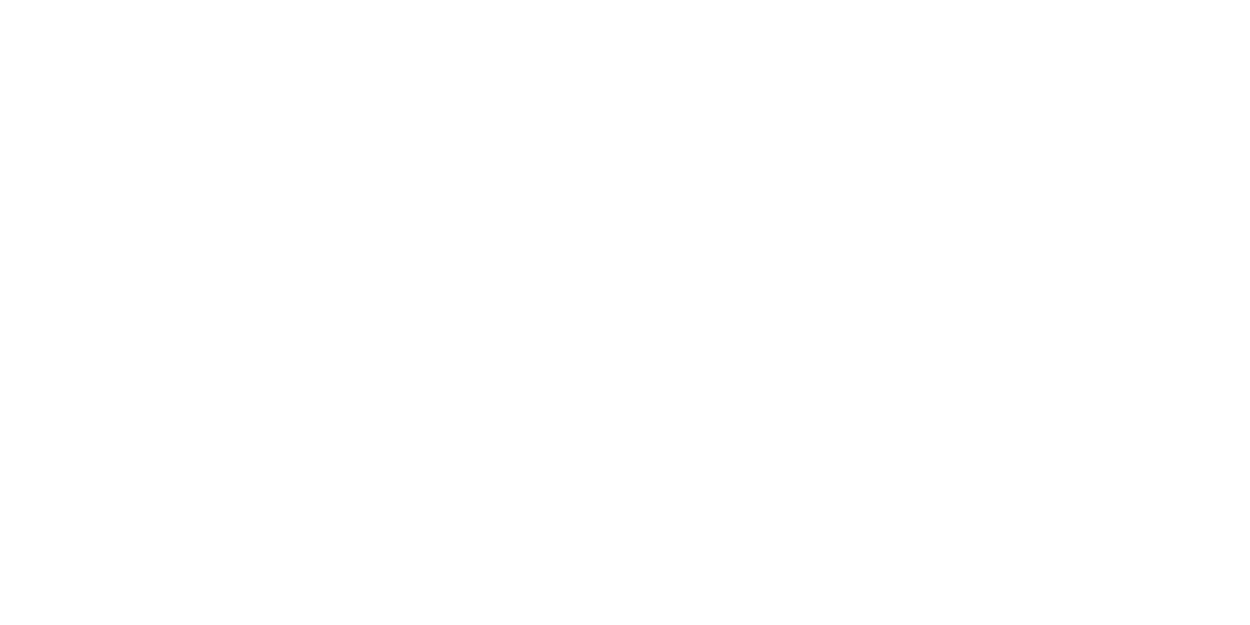 Leia Vintners logo