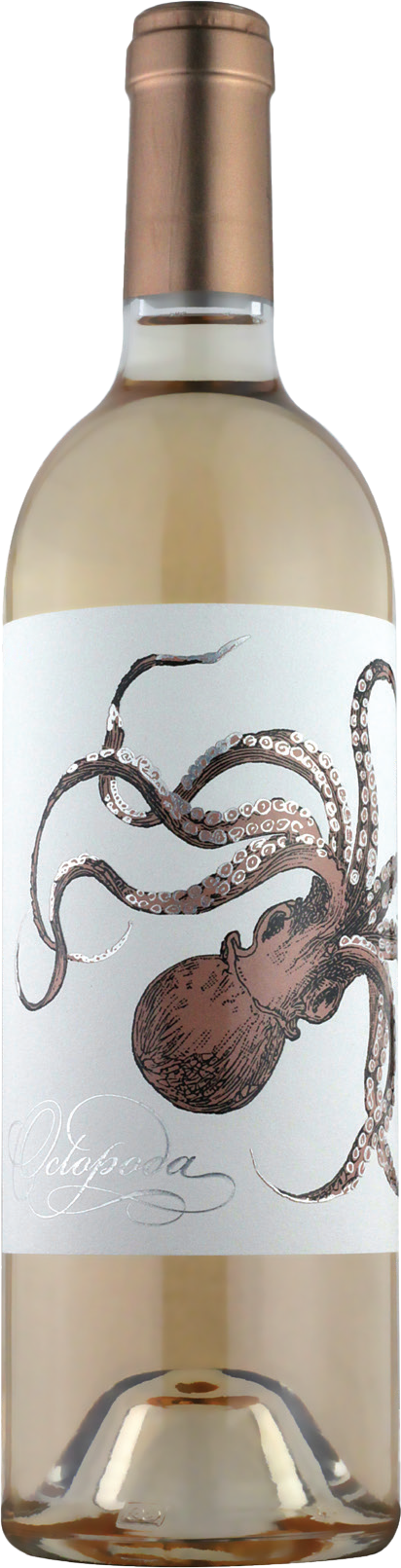 Octopoda Côtes de Provence Rose