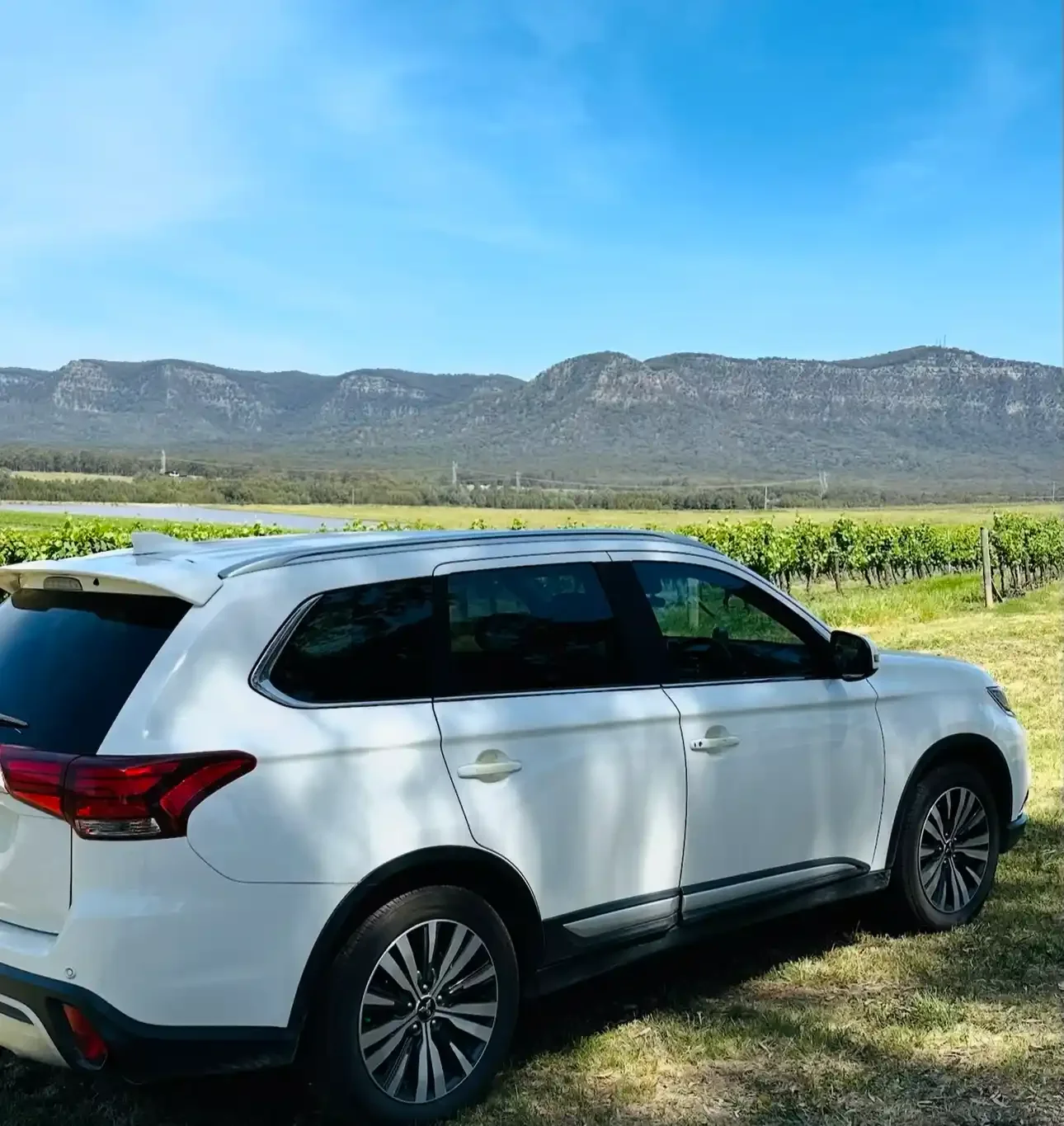 loop tours wine tours 2