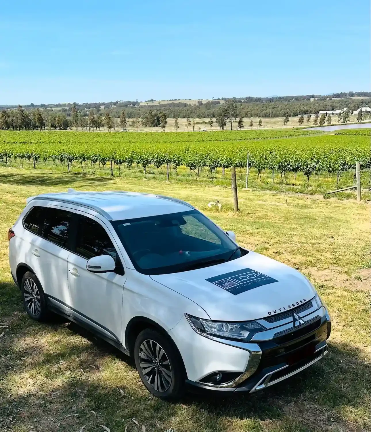 hunter valley wine tours by car