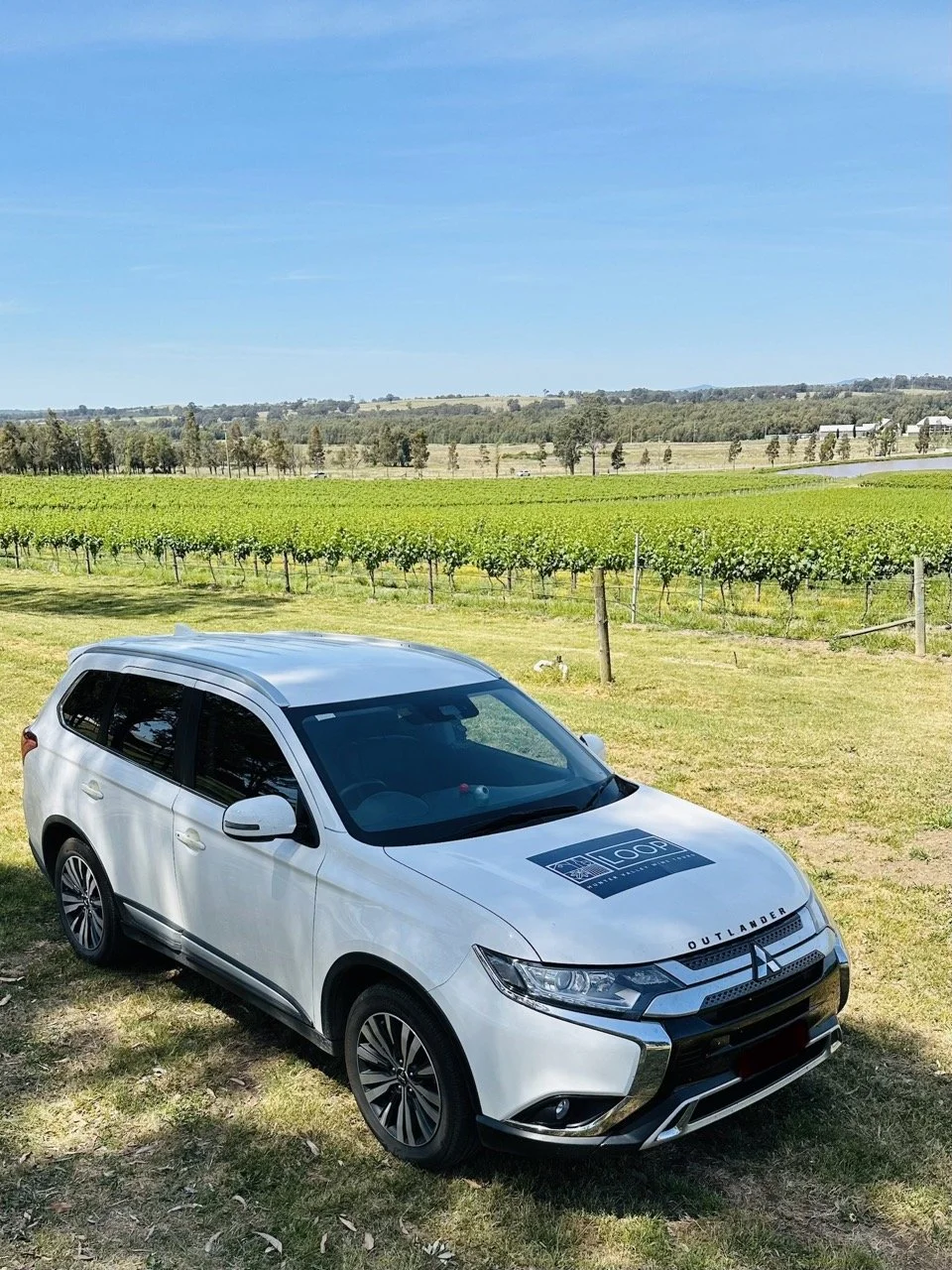 IMG_7998 4 Large.jpeg