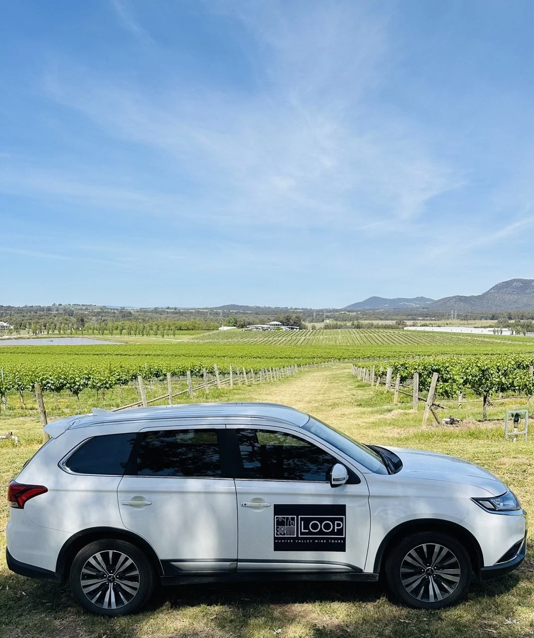 IMG_8005 2 Large.jpeg