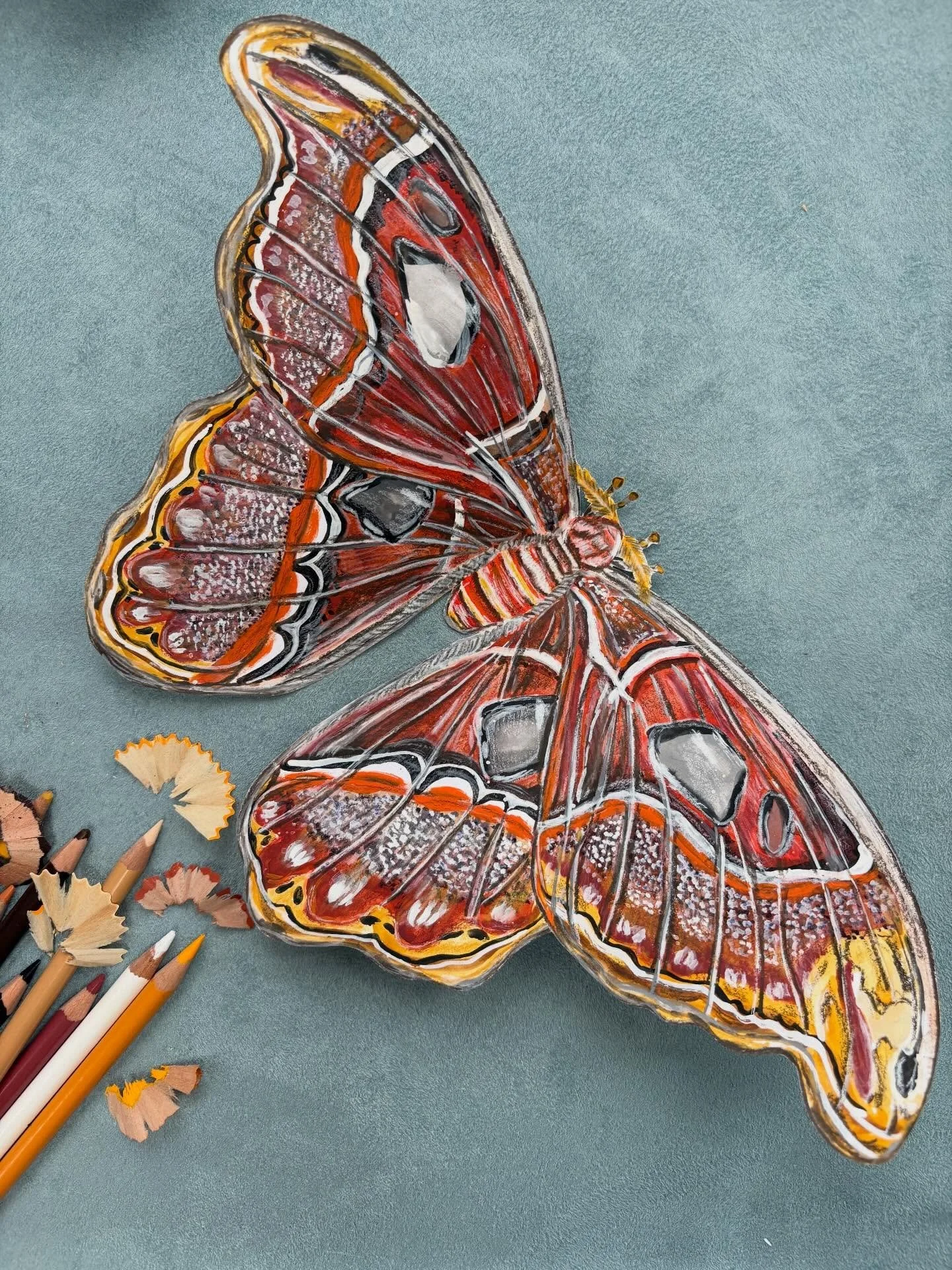 Fluttering into spring! #kidlit #watercolor #moth #nature #coloredpencil
