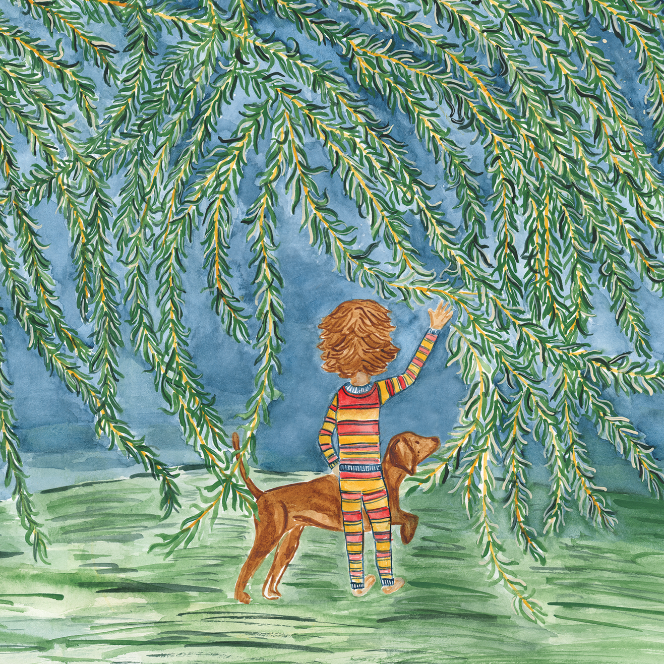 The Magic of Willows & Stars