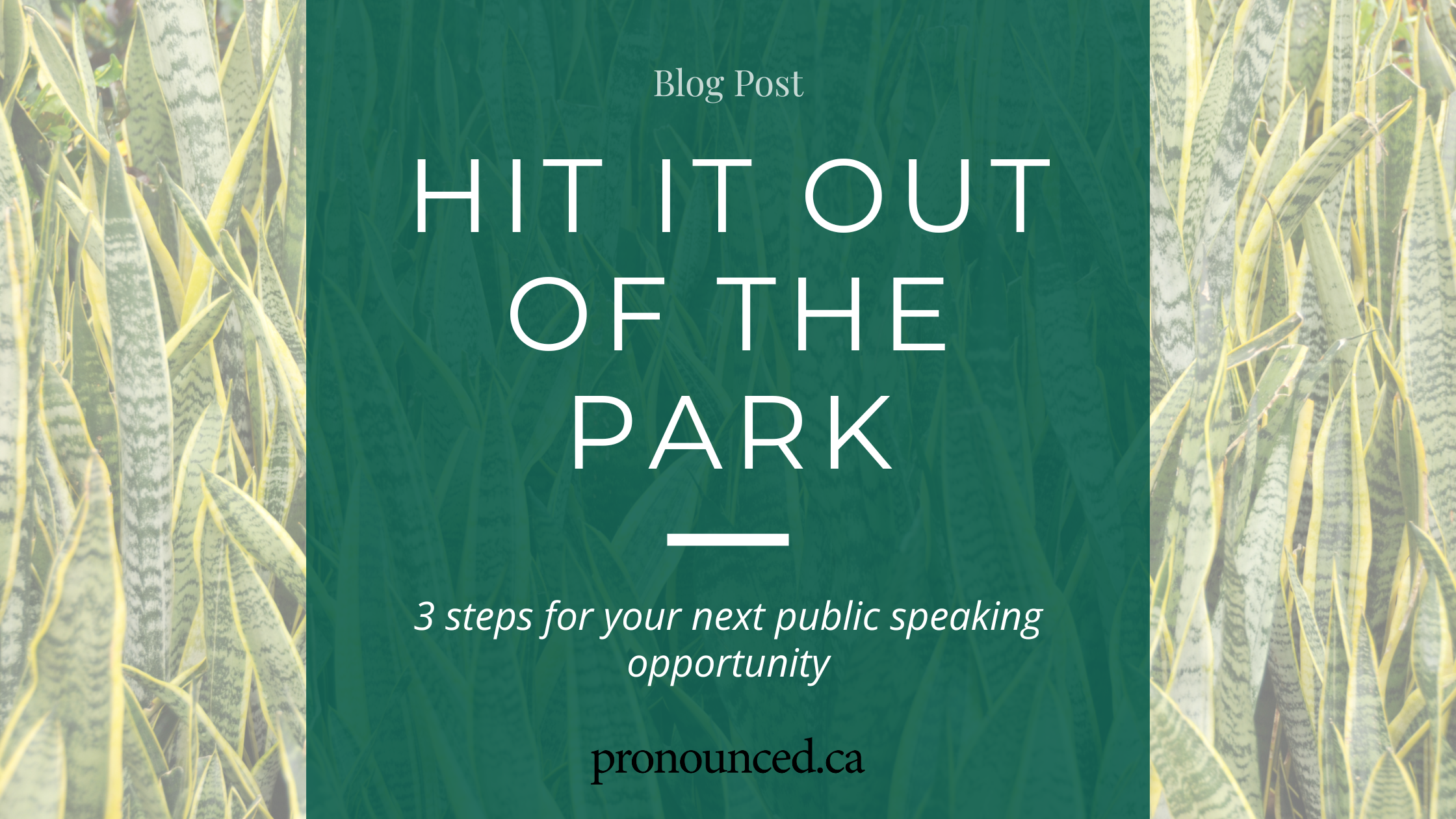 3 Steps to Hit-It-Out-of-the-Park Public Speaking