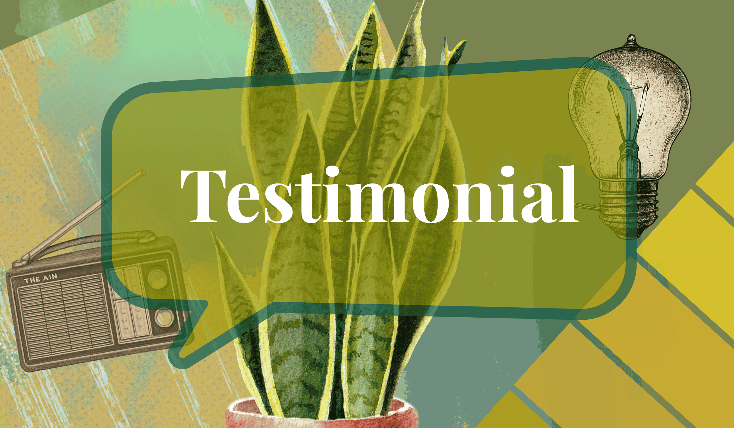 A digital collage featuring a potted snake plant, an old-fashioned radio, and a vintage-style lightbulb with the word 'Testimonial' written across a green speech bubble in the center.