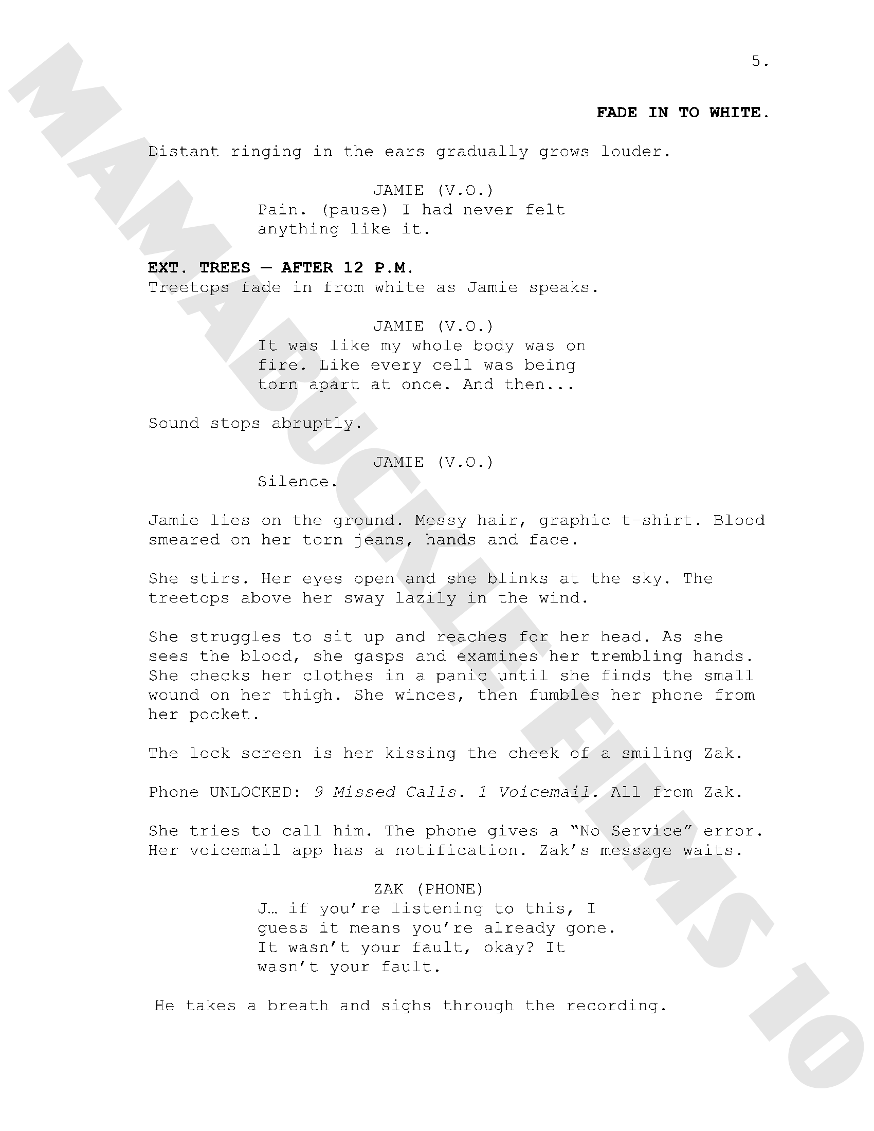 FRACTURES FULL SCRIPT conv 1(5).png