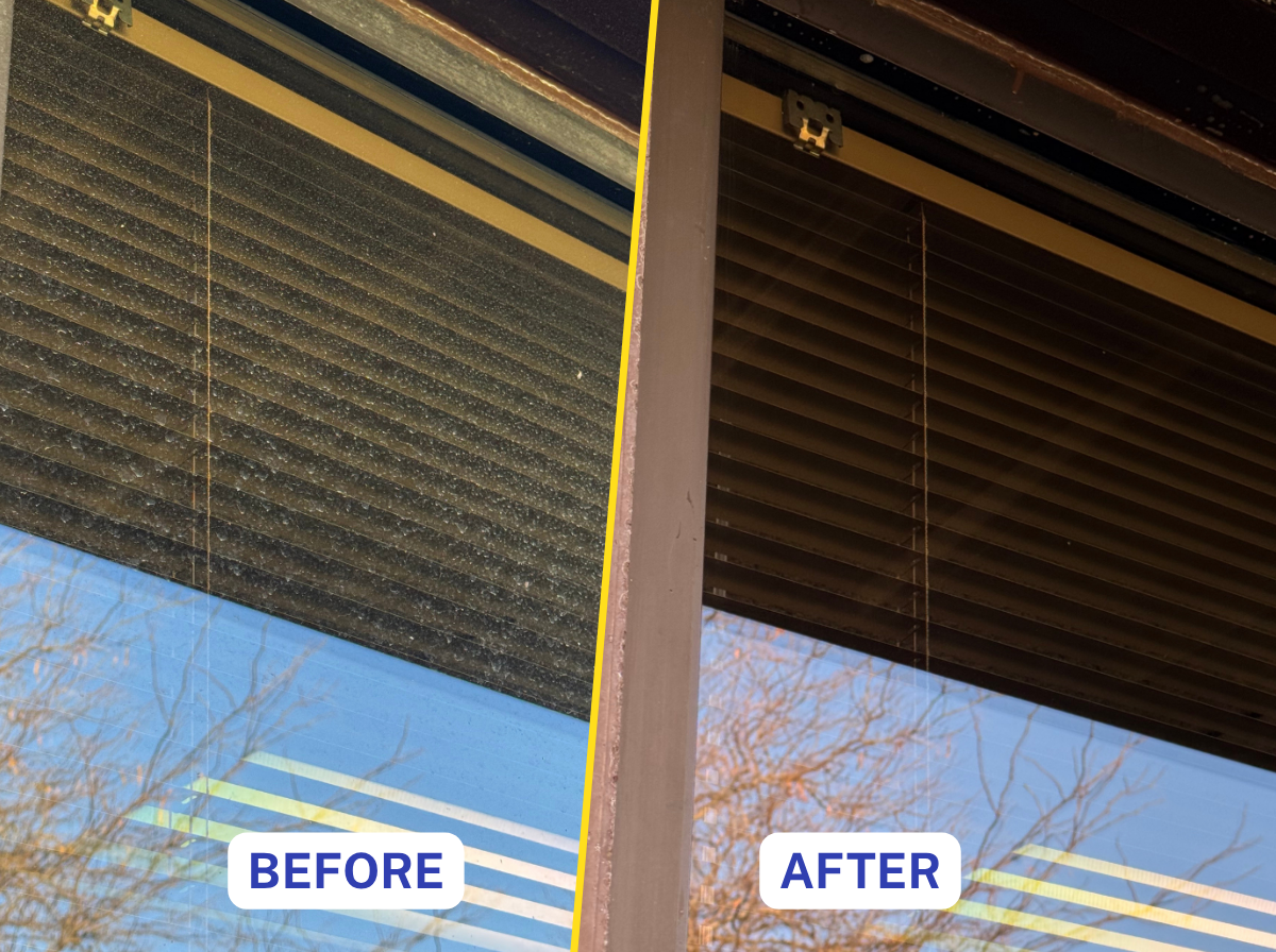 Exterior Window Cleaning