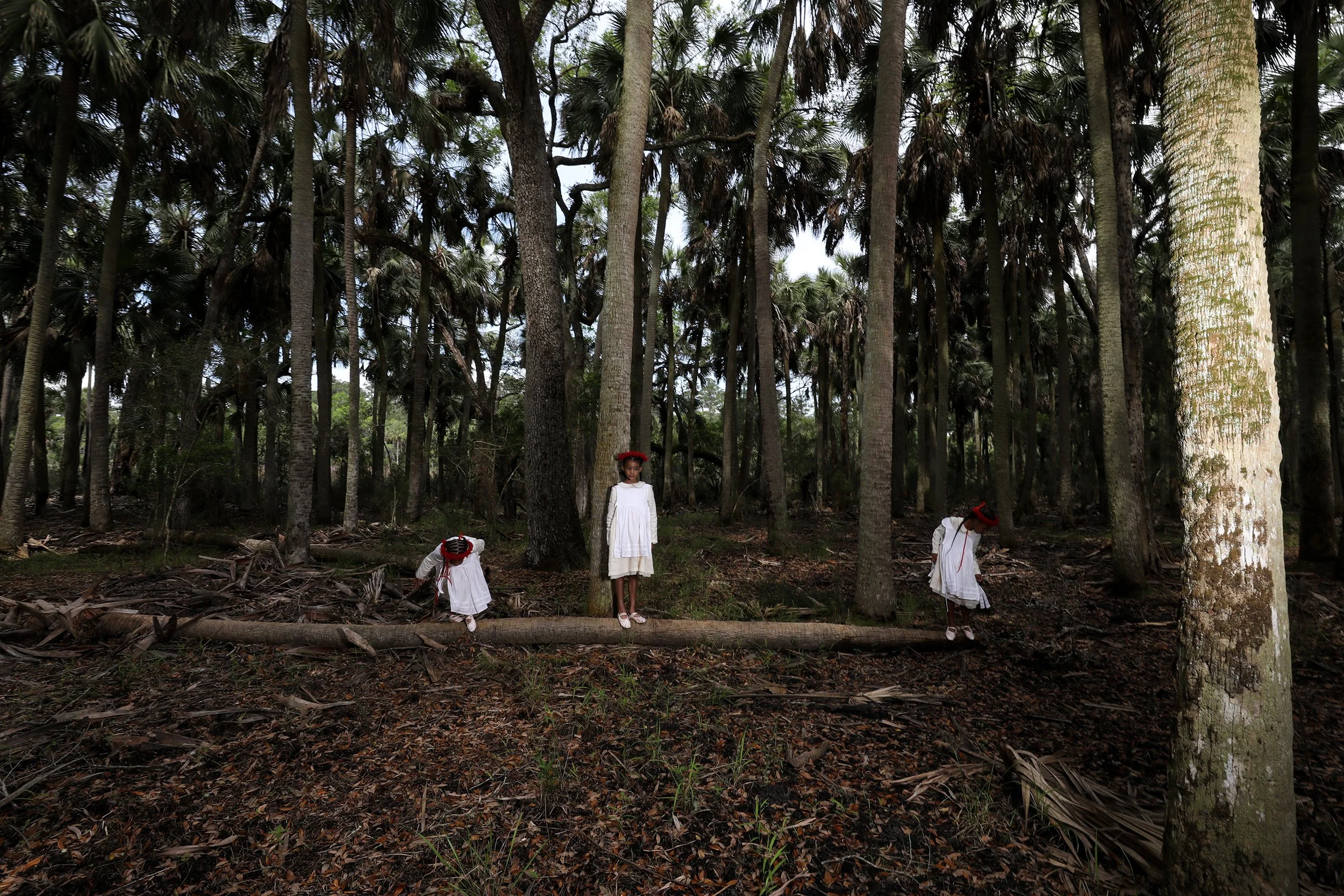 Three girls in sabal palm forest II, 2019