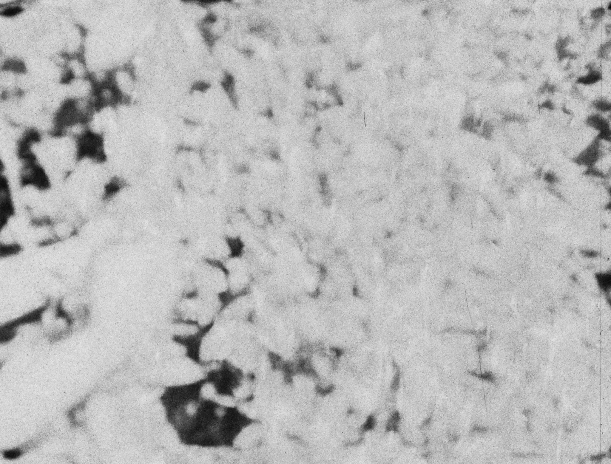 Copy of Sequence 04.00_11_42_03.Still005_300dpi.jpg