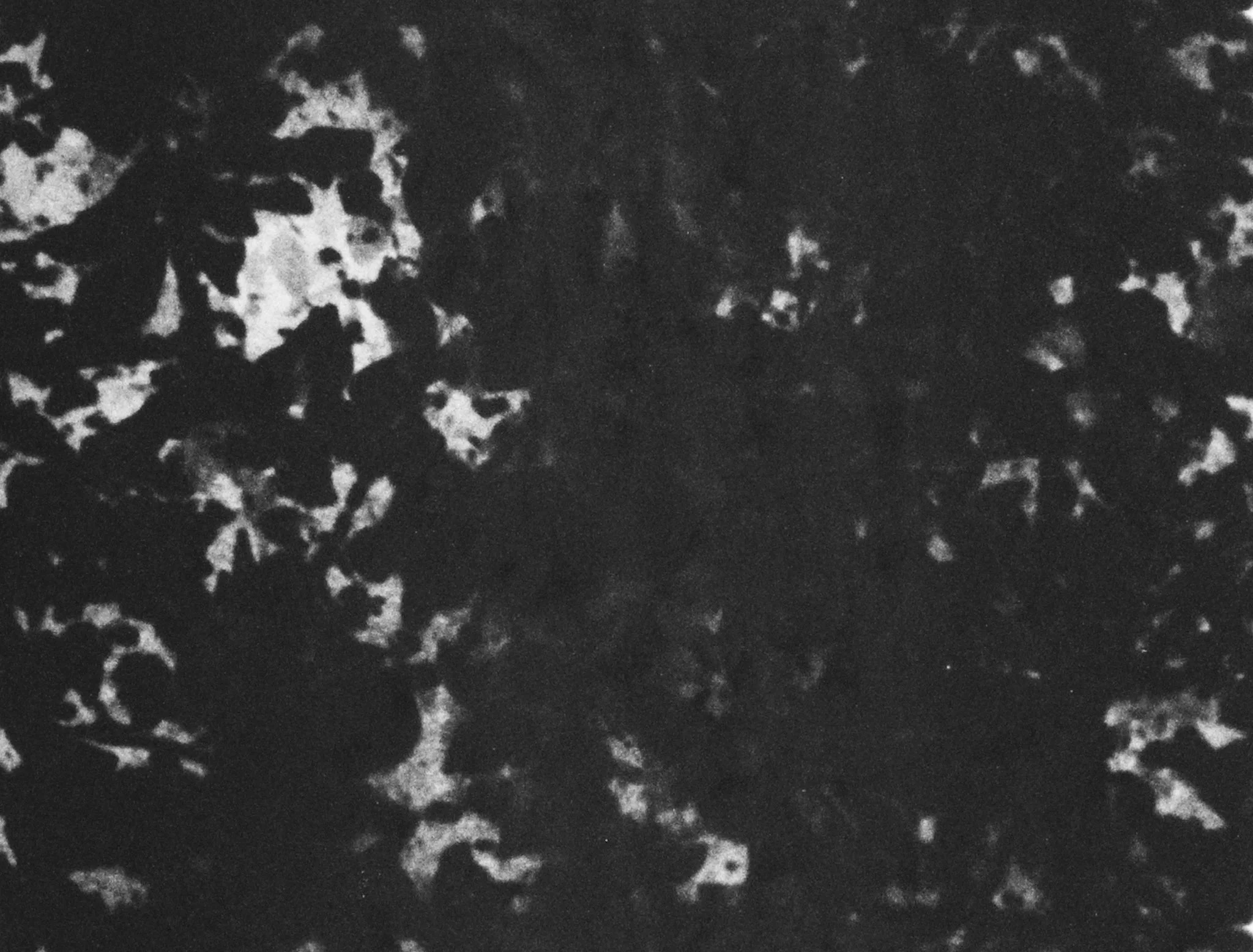 Copy of Sequence 04.00_09_02_14.Still020_300dpi.jpg