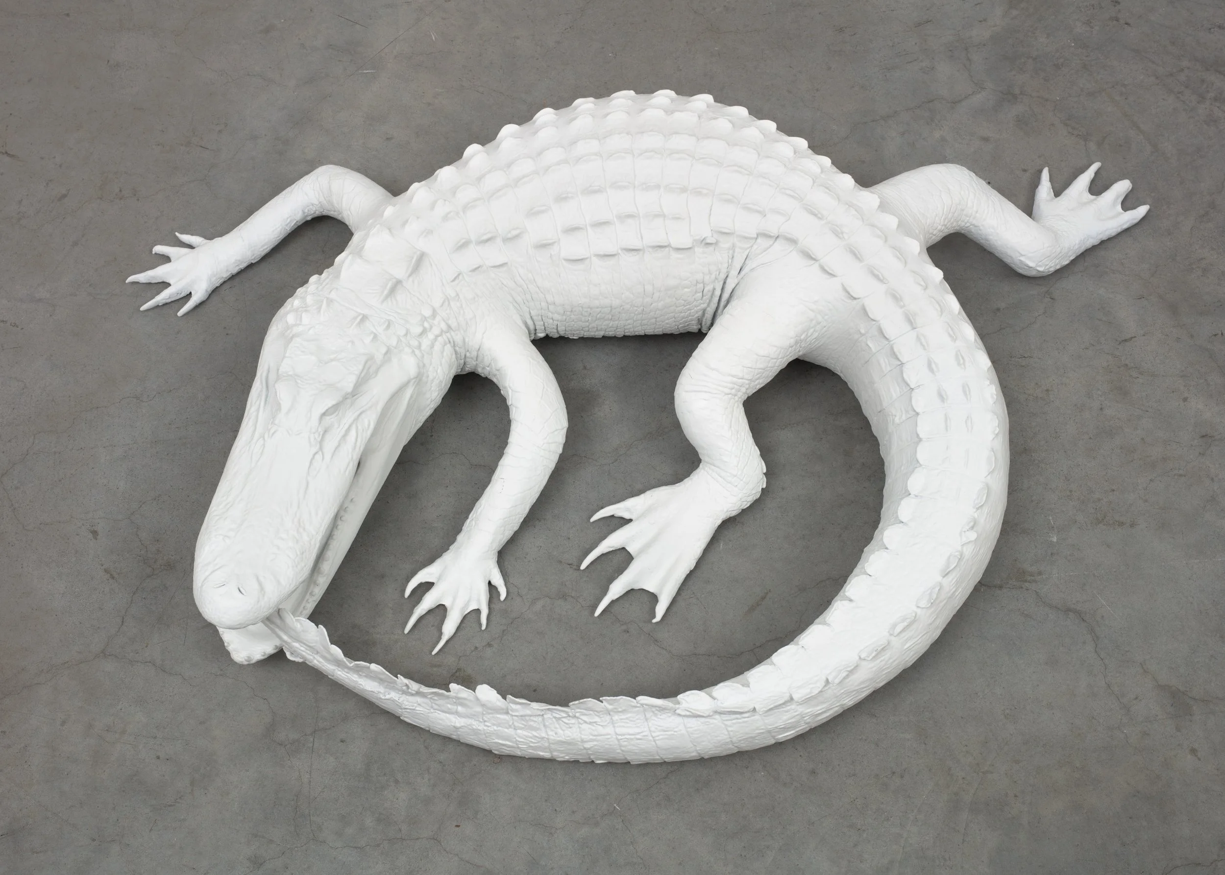  Untitled (White Ouroboros) II , 2023 
ASA filament, paint, resin 
8 1/2 x 38 x 39 inches
