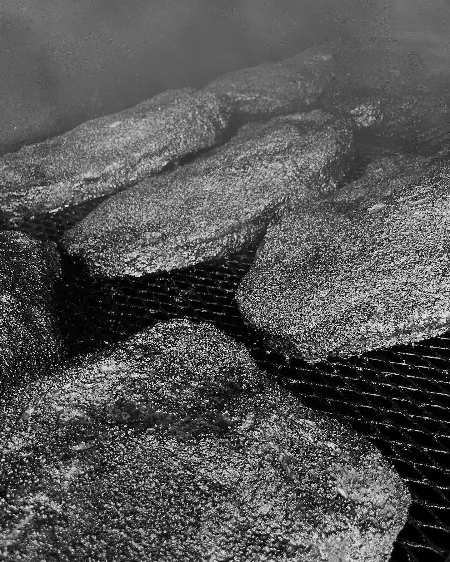 Black and white photograph of several fish with textured skin, lying on a wire mesh surface.