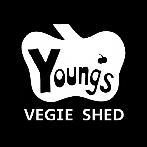 Logo for Young's Veggie Shed featuring a stylized apple outline with the text 'Young's Veggie Shed' inside, and a small cherry illustration above the 's' in 'Young's'.