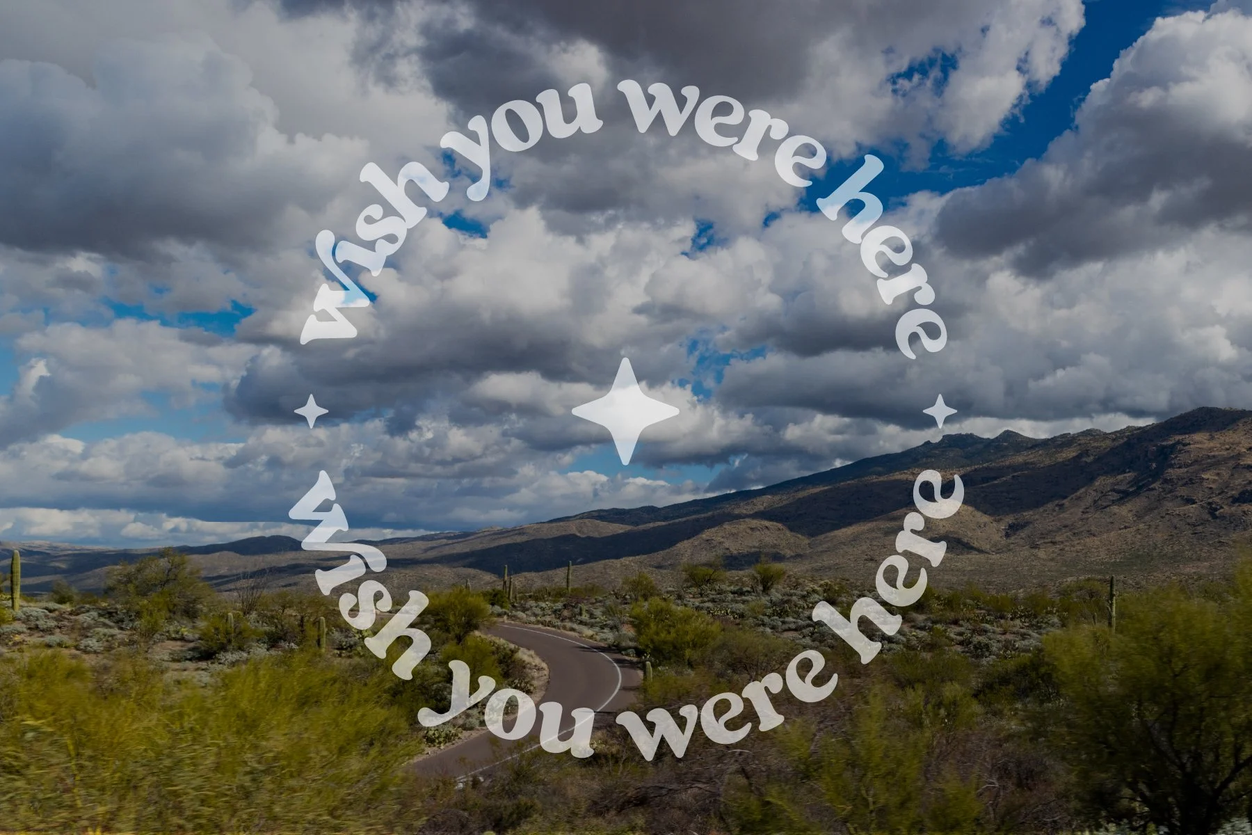 wish you were here