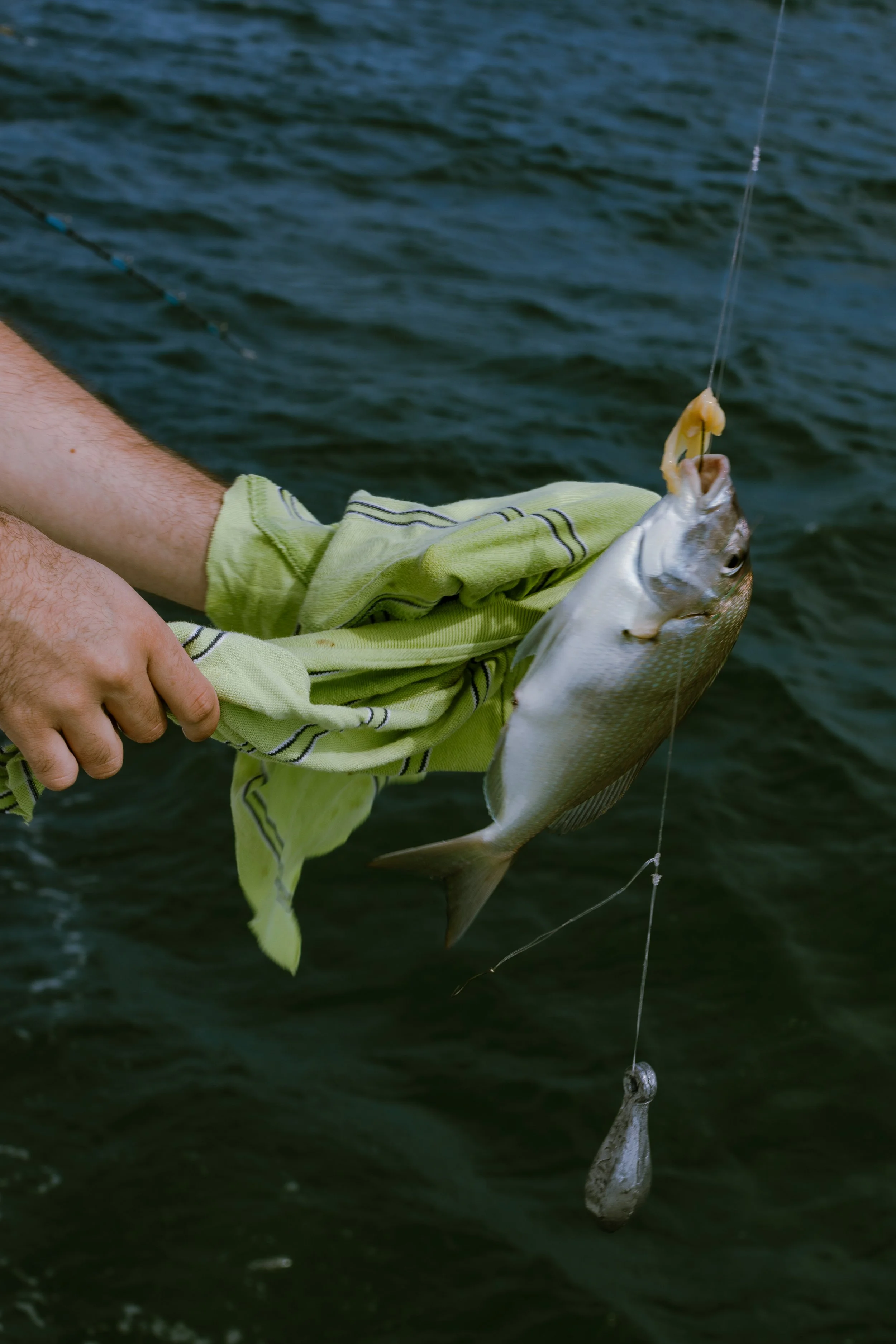 Person holding a fish caught with a fishing line over water, using a cloth.
