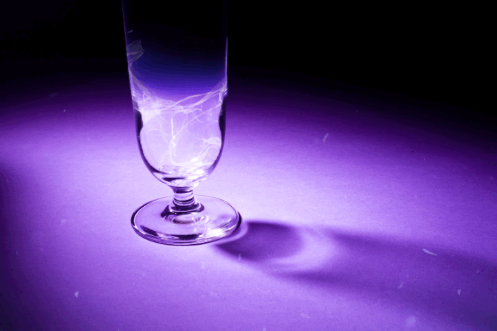 Fitzpatrick_Anna_FOT_Spotlight.gif
