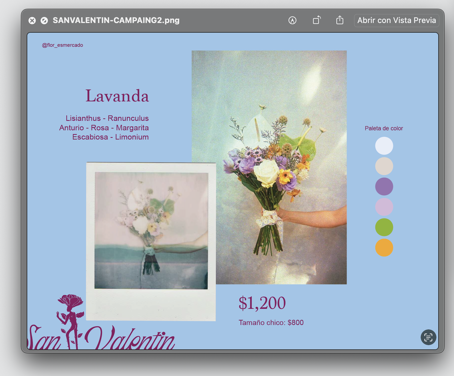 Captura de pantalla 2024-07-14 a la(s) 11.01.11 p.m..png