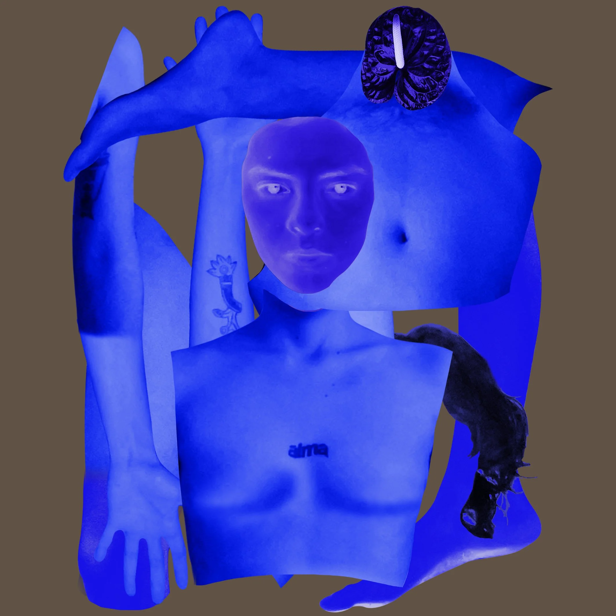 A surreal collage of human body parts and objects in blue tones, including a face, a torso with the word 'alma' tattooed, an arm, a hand, a flower-shaped item, and a black dog against a brown background.