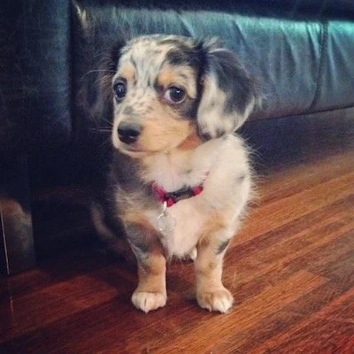 3 Somatic Strategies for Emotional Overwhelm