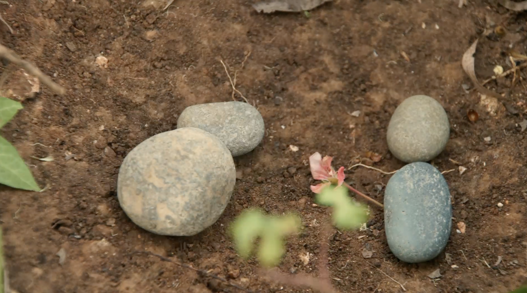 Screenshot 2026-03-04 at 4.23.44 pm.png