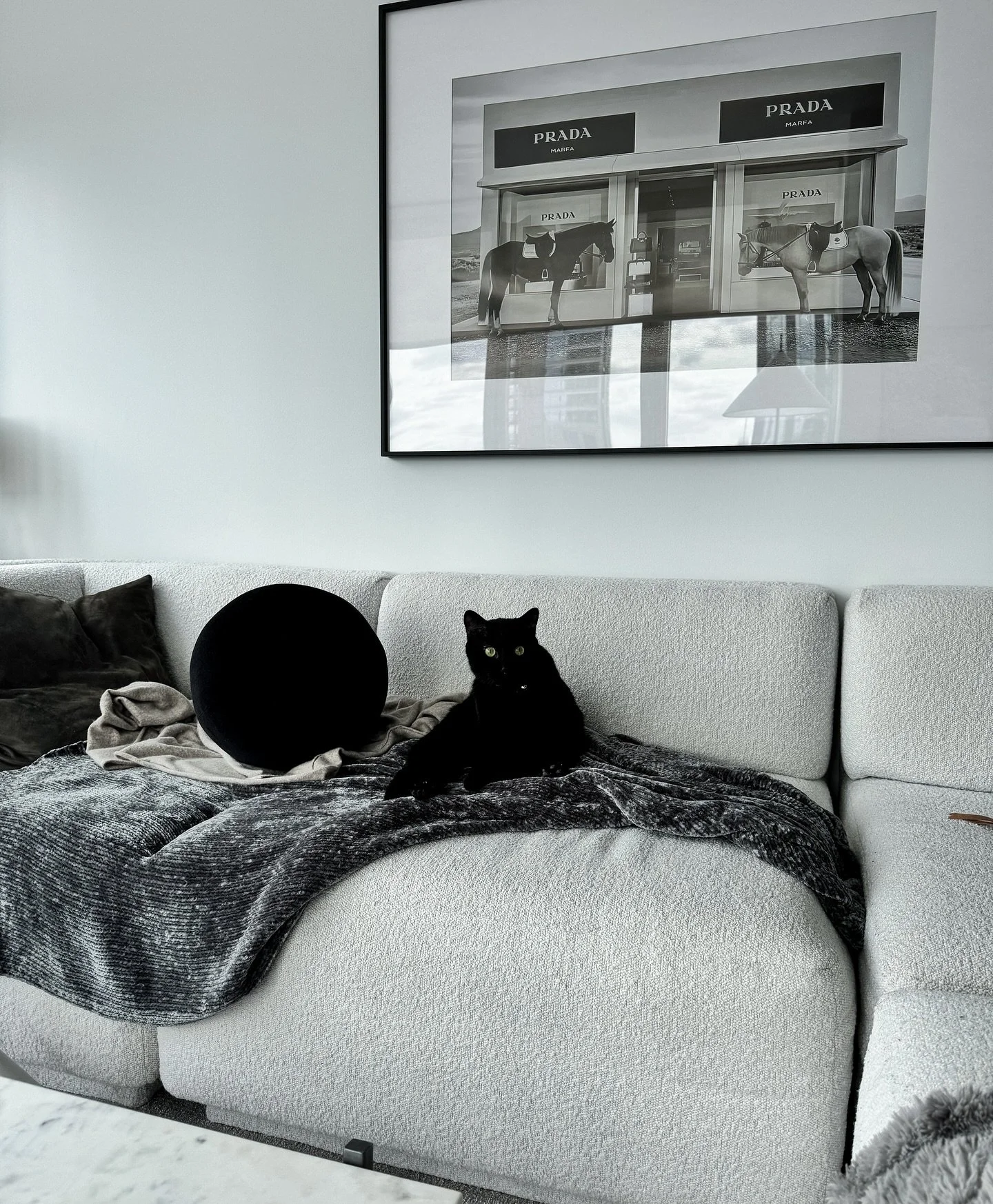 Bi-Costal diary, east coast edition. Grateful to be alive, be healthy 🤍. 

- Moon &amp; my travel adventures 🐈&zwj;⬛ 
- Work days from the park
- Rooftop evenings with Bae
- Attempts to up my protein as a veg 💪 
- Fresh produce &amp; farmer&rsquo;