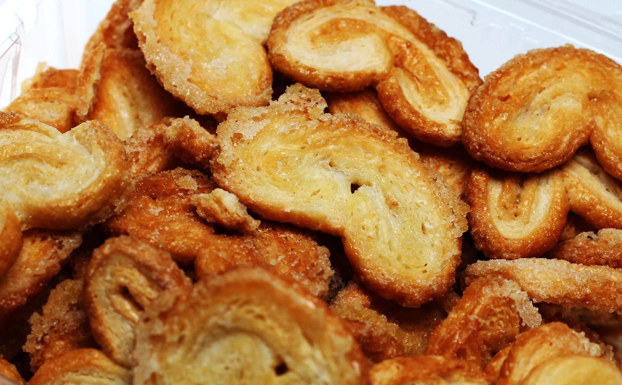 5. Palmiers - CU.jpg