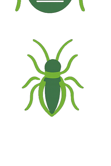 Black and white illustration of a cockroach viewed from above.