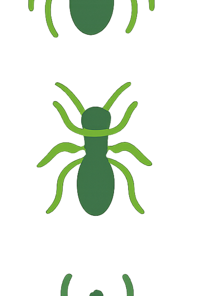 Close-up of a wasp with detailed black and white markings and transparent wings