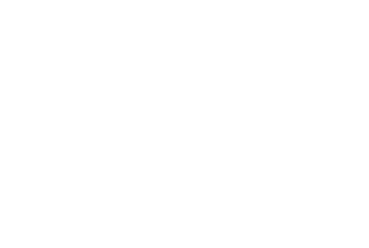 Divine Case Management, LLC