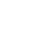 White Phone Icon