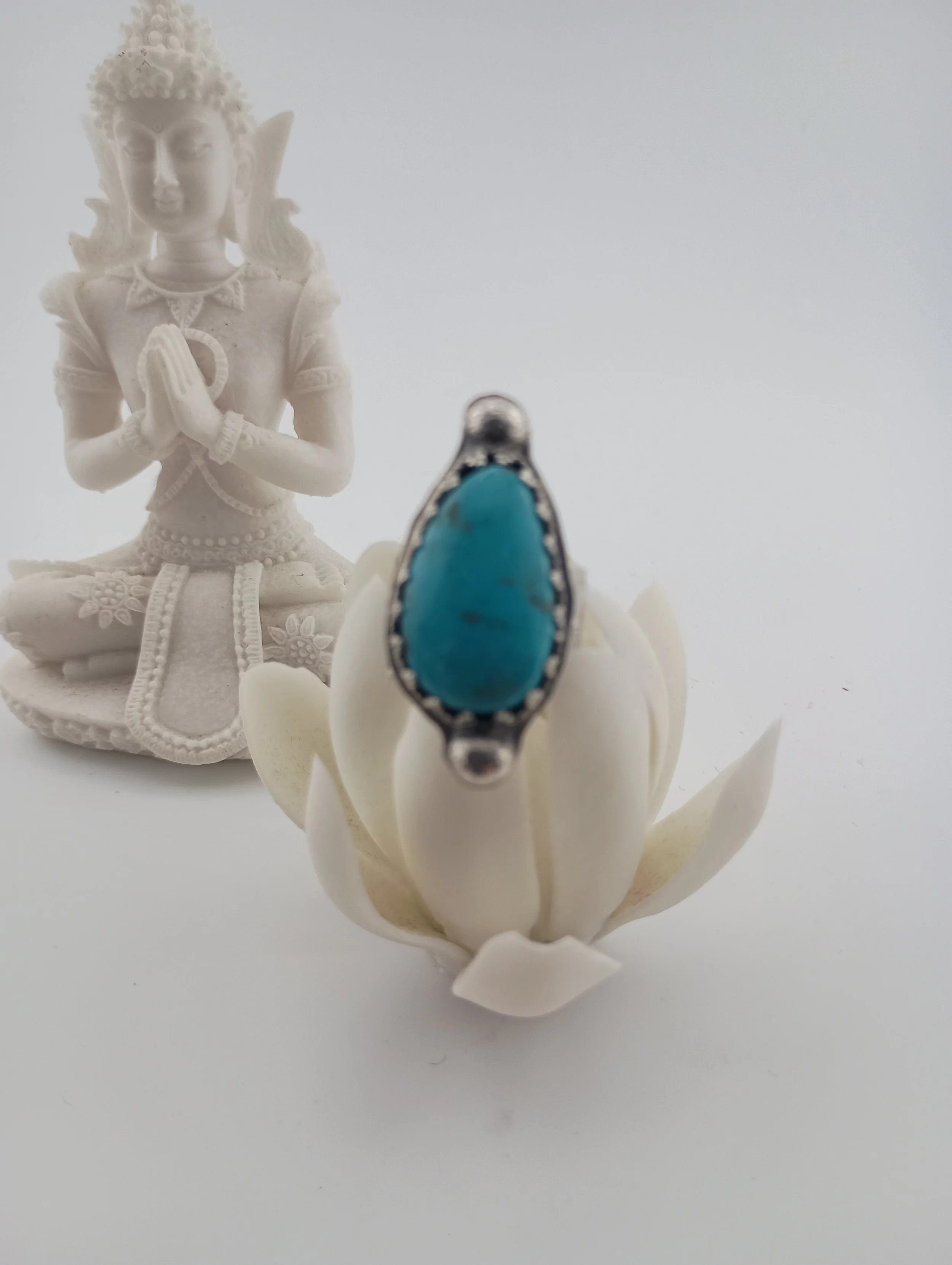 SGSR5 Lotus Buddha from distance.JPG